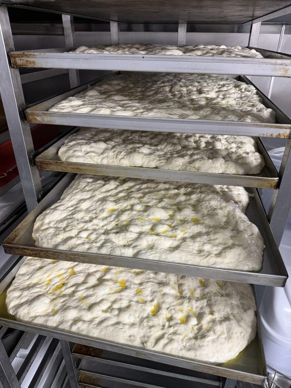 Trays of schiacciata dough proving on a rack